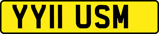 YY11USM