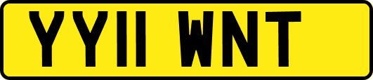YY11WNT
