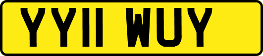 YY11WUY
