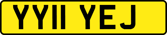 YY11YEJ
