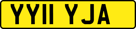 YY11YJA