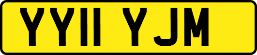 YY11YJM