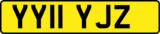 YY11YJZ
