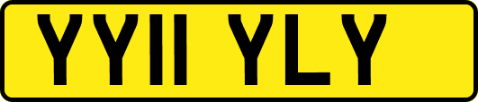 YY11YLY