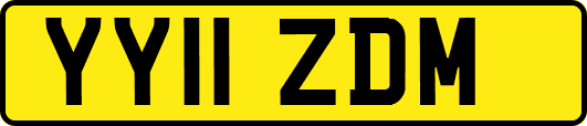 YY11ZDM