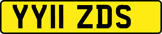 YY11ZDS