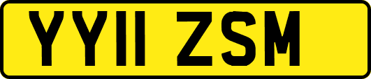 YY11ZSM
