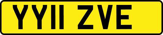 YY11ZVE