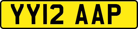 YY12AAP