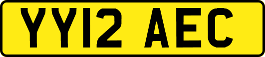 YY12AEC
