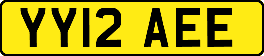 YY12AEE
