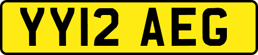 YY12AEG
