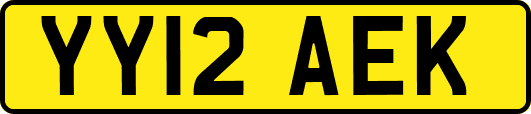 YY12AEK