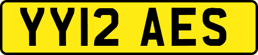 YY12AES