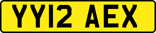 YY12AEX