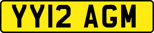 YY12AGM
