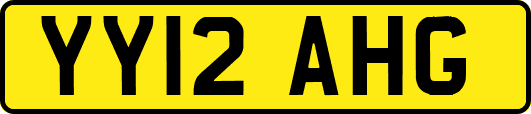 YY12AHG