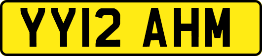 YY12AHM