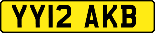 YY12AKB
