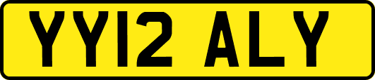 YY12ALY