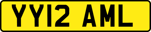 YY12AML