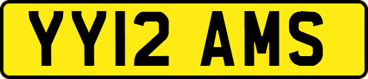 YY12AMS