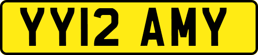 YY12AMY