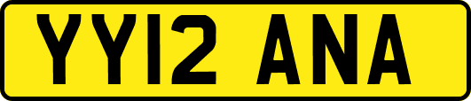 YY12ANA