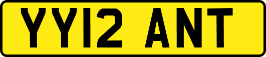 YY12ANT