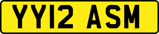 YY12ASM