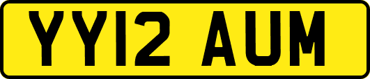 YY12AUM