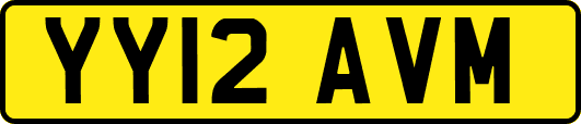 YY12AVM