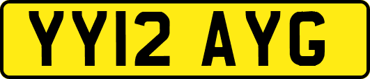 YY12AYG