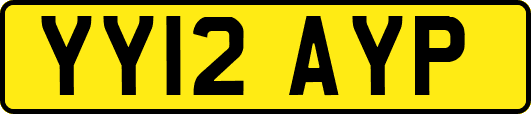 YY12AYP