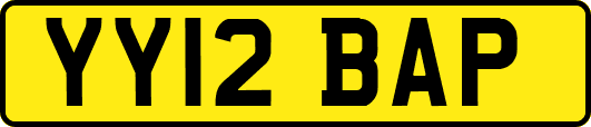 YY12BAP