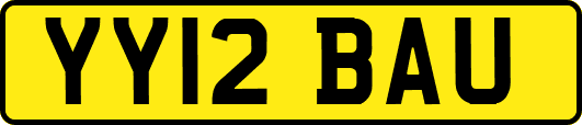YY12BAU