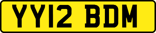 YY12BDM