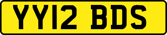 YY12BDS