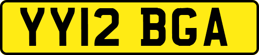 YY12BGA