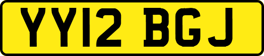 YY12BGJ