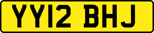 YY12BHJ