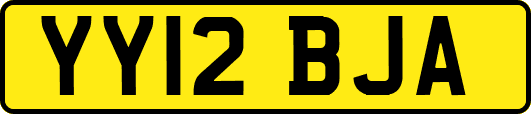 YY12BJA