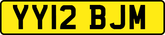 YY12BJM