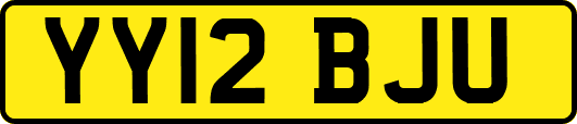 YY12BJU