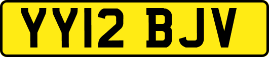 YY12BJV