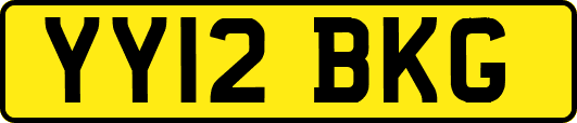 YY12BKG
