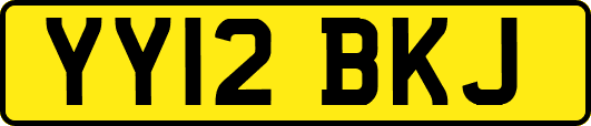 YY12BKJ