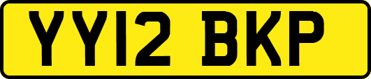 YY12BKP