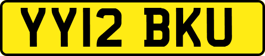 YY12BKU