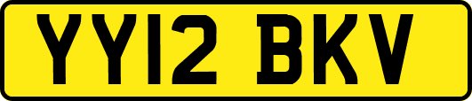 YY12BKV